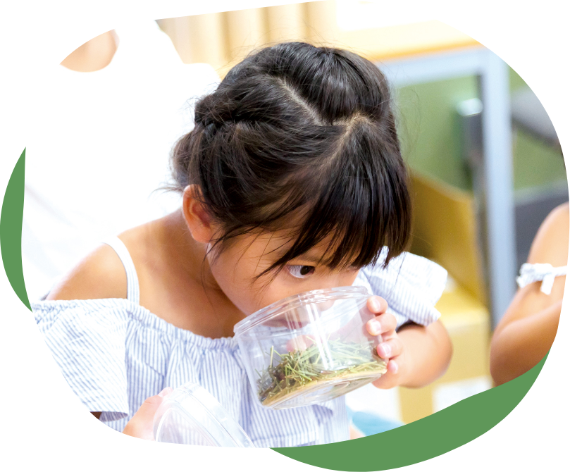 い草に触れる子ども